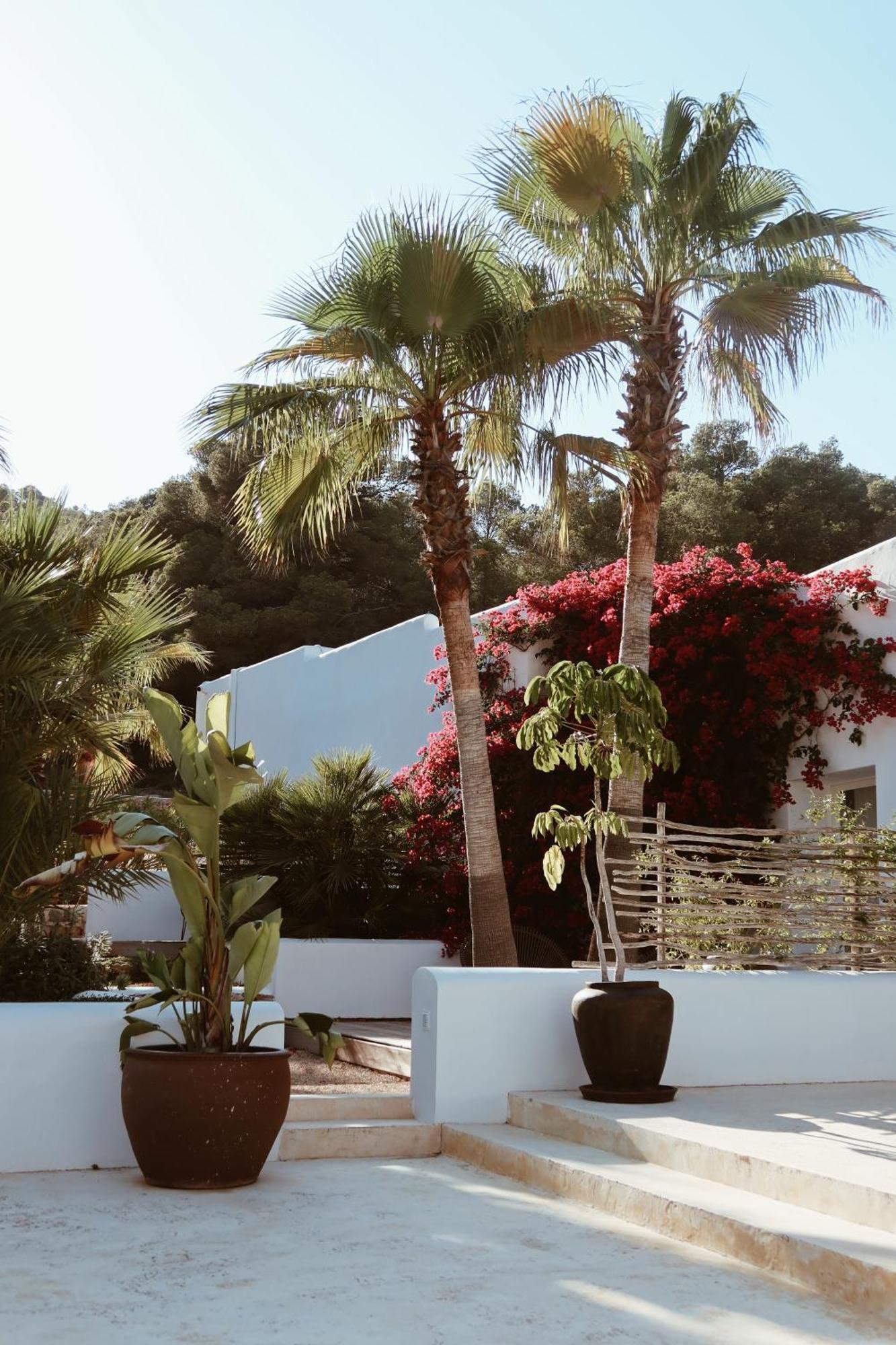 Sant Jordi de ses Salines Pure House Ibiza酒店 外观 照片