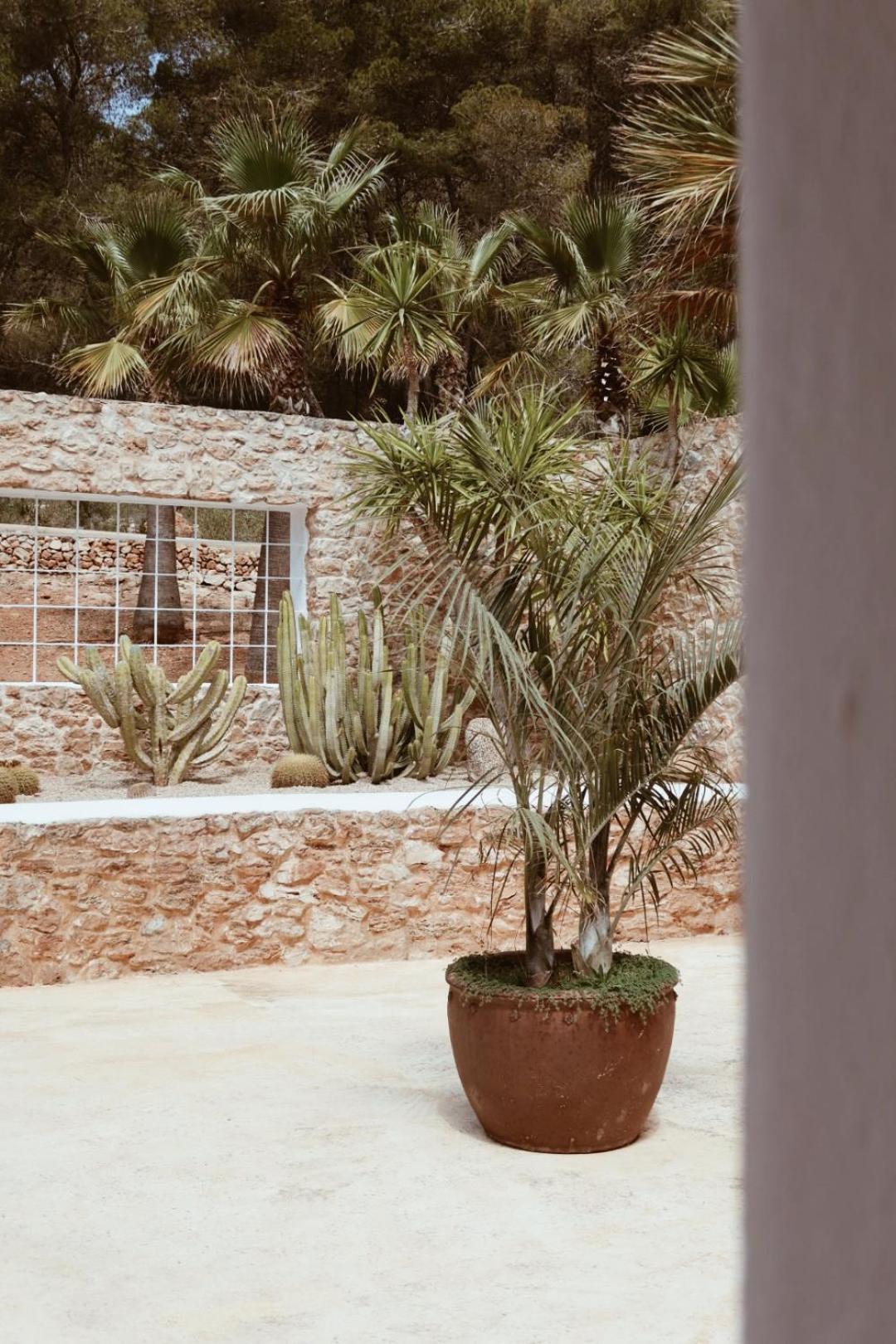 Sant Jordi de ses Salines Pure House Ibiza酒店 外观 照片